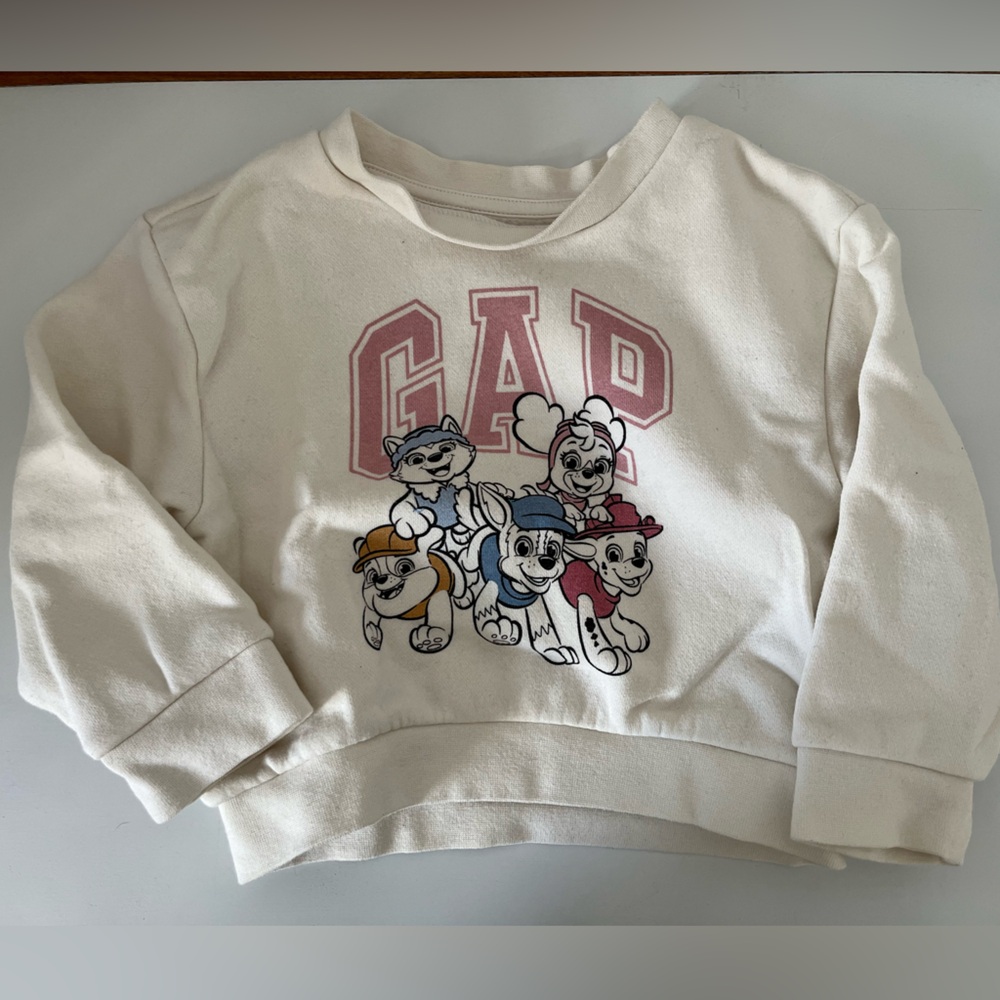 Gap paw patrol sweater